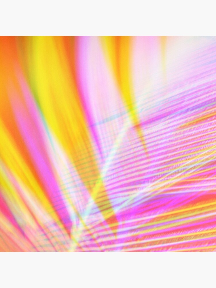 Abstract Feather by Risingphx