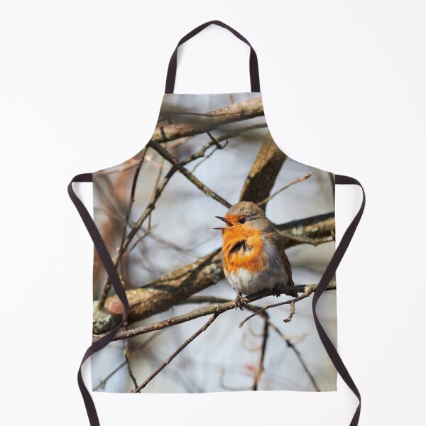Item preview, European robin with the tunes designed and sold by Jouko Lehto Photography.