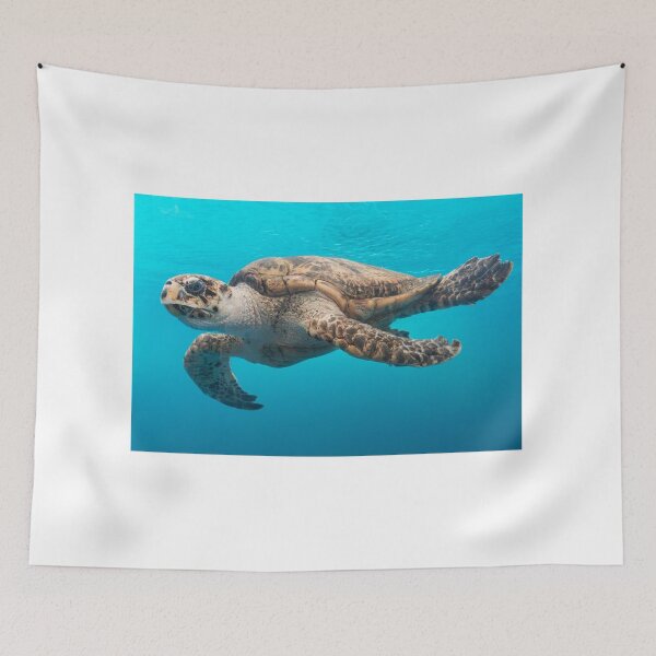 Artikelvorschau, Swimming Turtle entworfen und verkauft von JanaMals.
