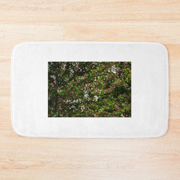 Item preview, Cherry Blossom buds designed and sold by vm2002.
