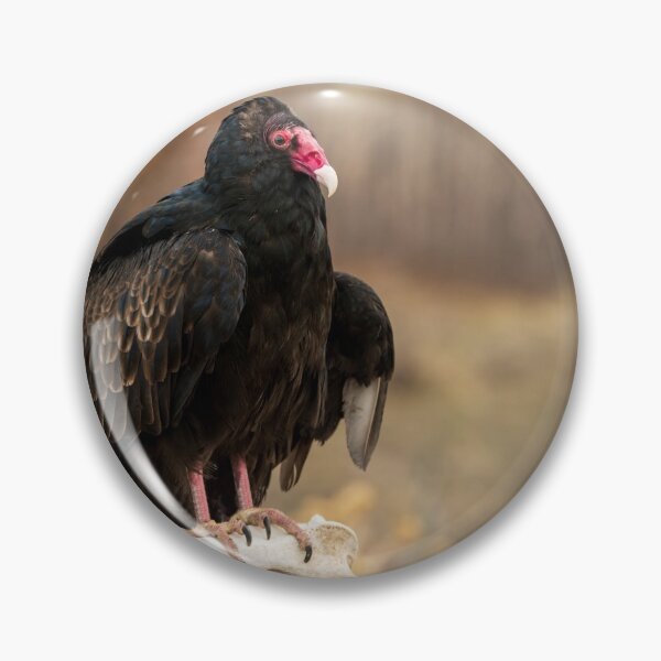 Item preview, Buzzard designed and sold by Greg Birkett.