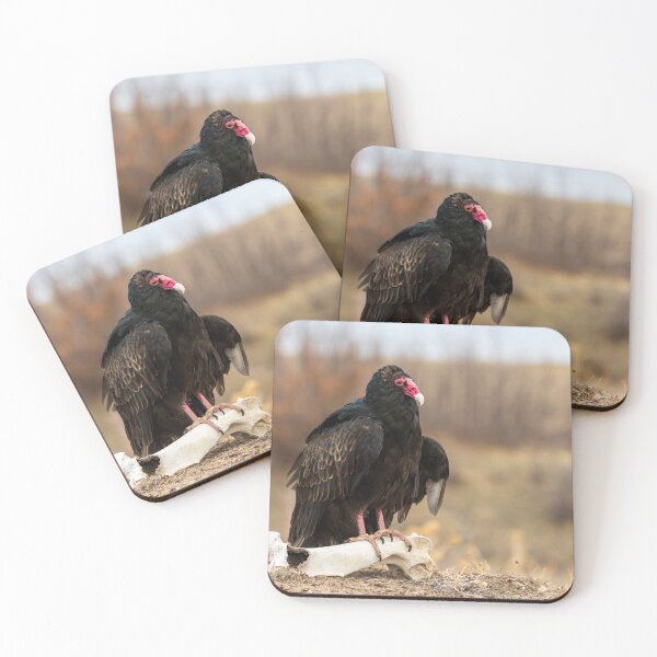 Item preview, Buzzard designed and sold by Greg Birkett.
