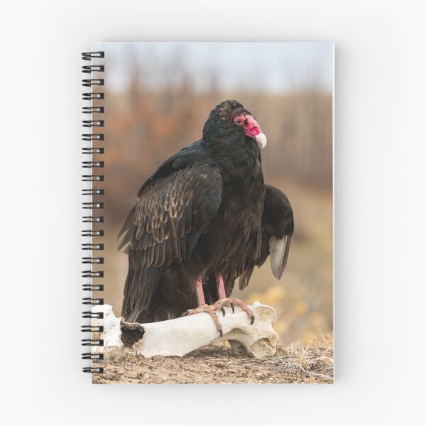Item preview, Buzzard designed and sold by Greg Birkett.