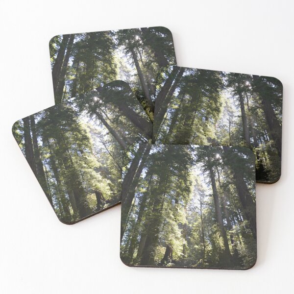 Item preview, Redwood Forrest designed and sold by emiknoe.