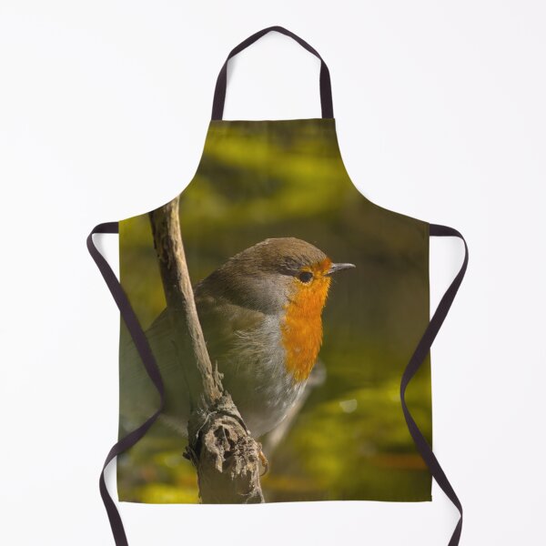 Item preview, Redbreast robin designed and sold by xophotography.
