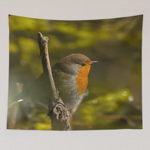 Item preview, Redbreast robin designed and sold by xophotography.