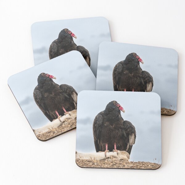 Item preview, Turkey buzzard designed and sold by Greg Birkett.