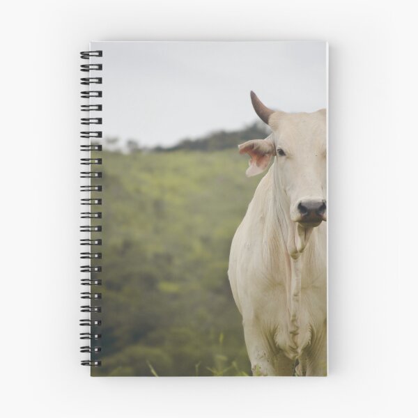 Item preview, Cow designed and sold by anafrancisconi.