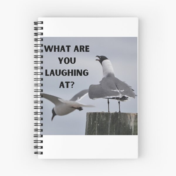 Item preview, What are you laughing at? (Laughing gull) designed and sold by Wandas-World.