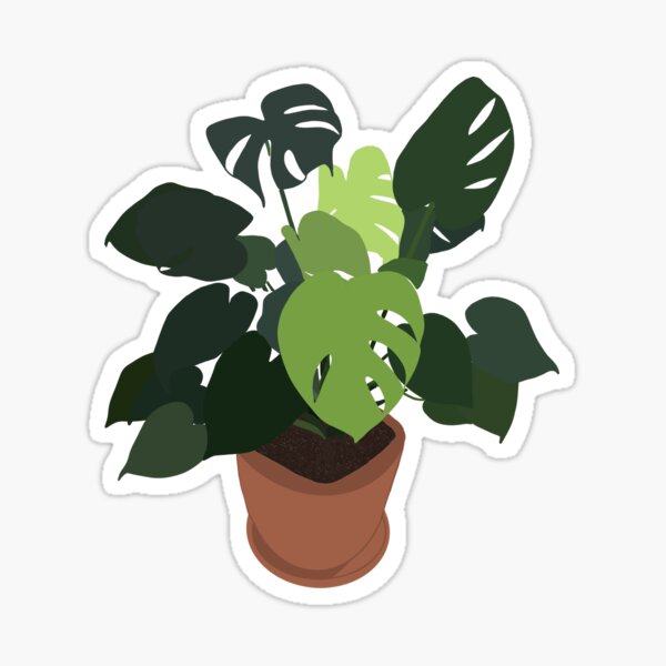 Multicolour Sprawling monstera in a pot Sticker