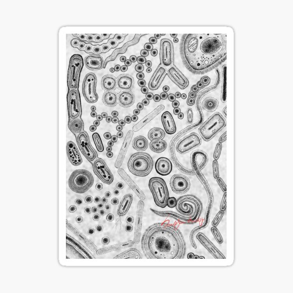 Item preview,  Look at bacteria designed and sold by LuigiSuglia.