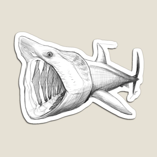 Giant Shark Sketchpad – Em + Kate