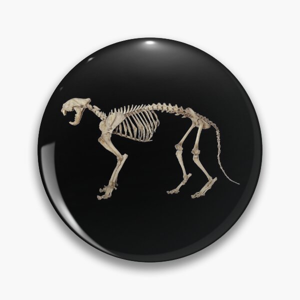 Item preview, Cat skeleton designed and sold by moth-creature.