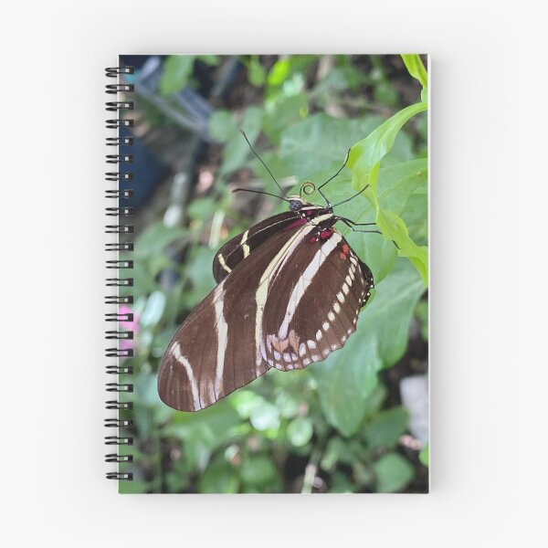 Item preview, Zebra Longwing Butterfly  designed and sold by JessicaTukaj.