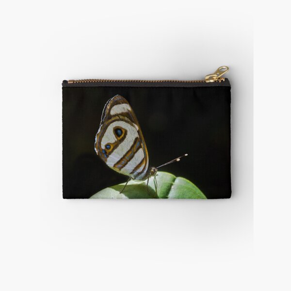 Item preview, Butterfly designed and sold by anafrancisconi.