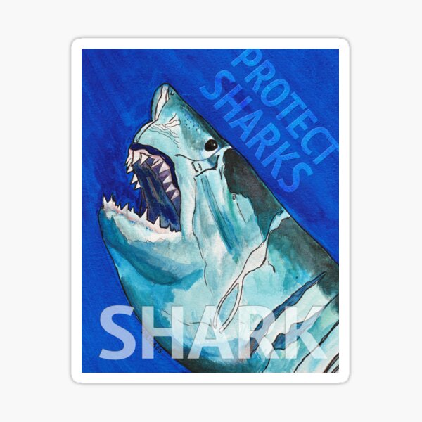 Protect sharks stylized art Sticker