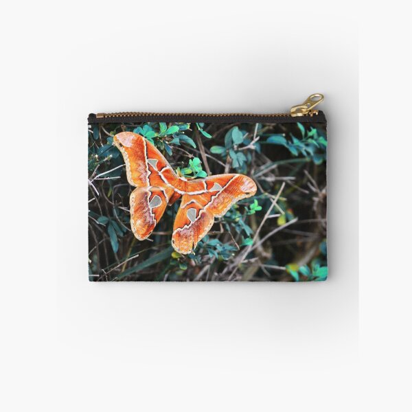 Item preview, Butterfly designed and sold by anafrancisconi.
