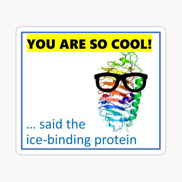 PROTEIN COOL Sticker