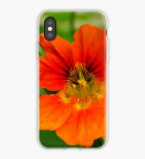 last autumn flower iPhone Case