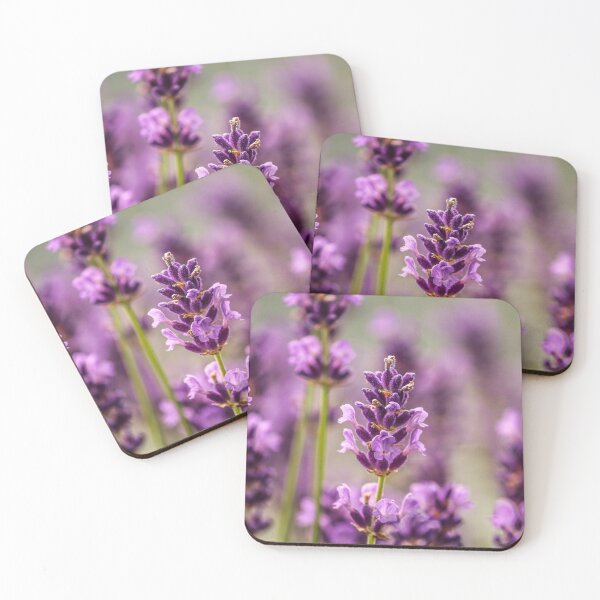 Artikelvorschau, Violettes Lavendel-Blumenplakat entworfen und verkauft von JD369.