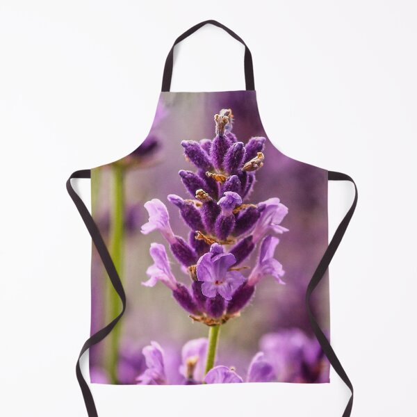 Artikelvorschau, Violettes Lavendel-Blumenplakat entworfen und verkauft von JD369.