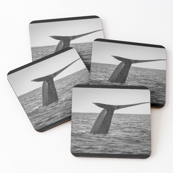 Item preview, Fluke of a Blue whale diving into the deep Atlantic, at Azores islands. designed and sold by AylaHarbich.