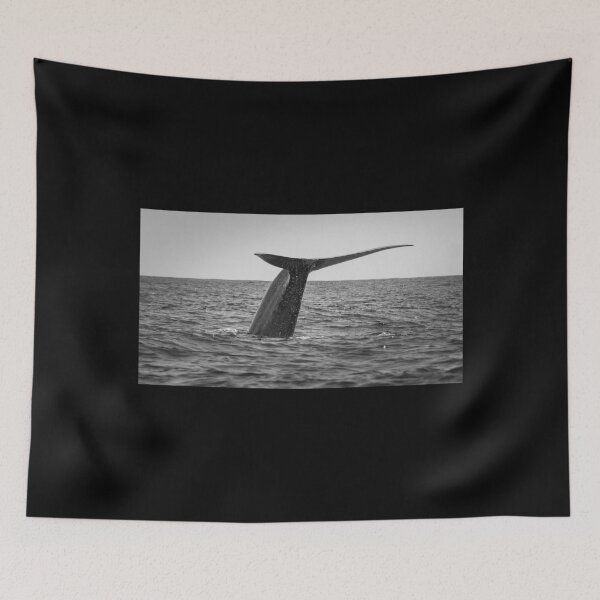 Item preview, Fluke of a Blue whale diving into the deep Atlantic, at Azores islands. designed and sold by AylaHarbich.