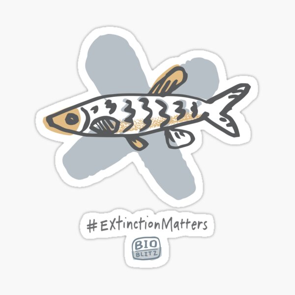 BioBlitz Fish Sticker