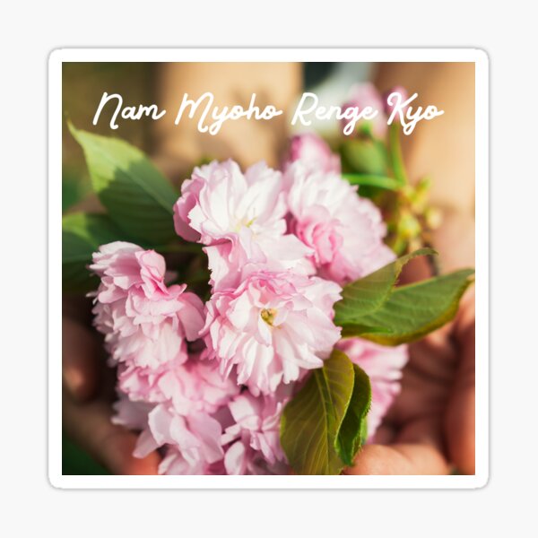 Nam Myoho Renge Kyo Cherry Blossoms Sticker