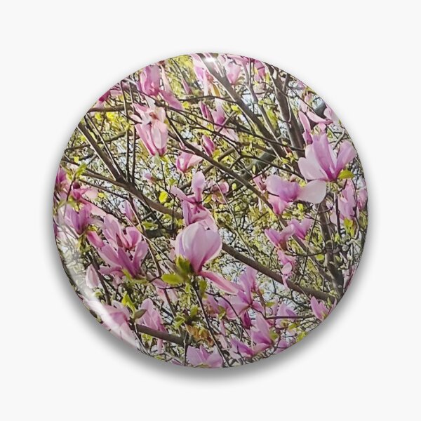 Item preview, Magnolia flowers in spring  designed and sold by Srujanagade.