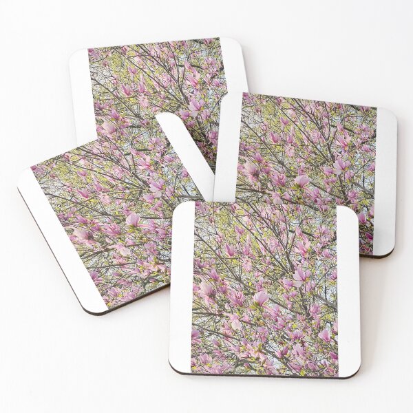 Item preview, Magnolia flowers in spring  designed and sold by Srujanagade.