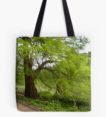 Two monumental swamp cypresses Tote Bag