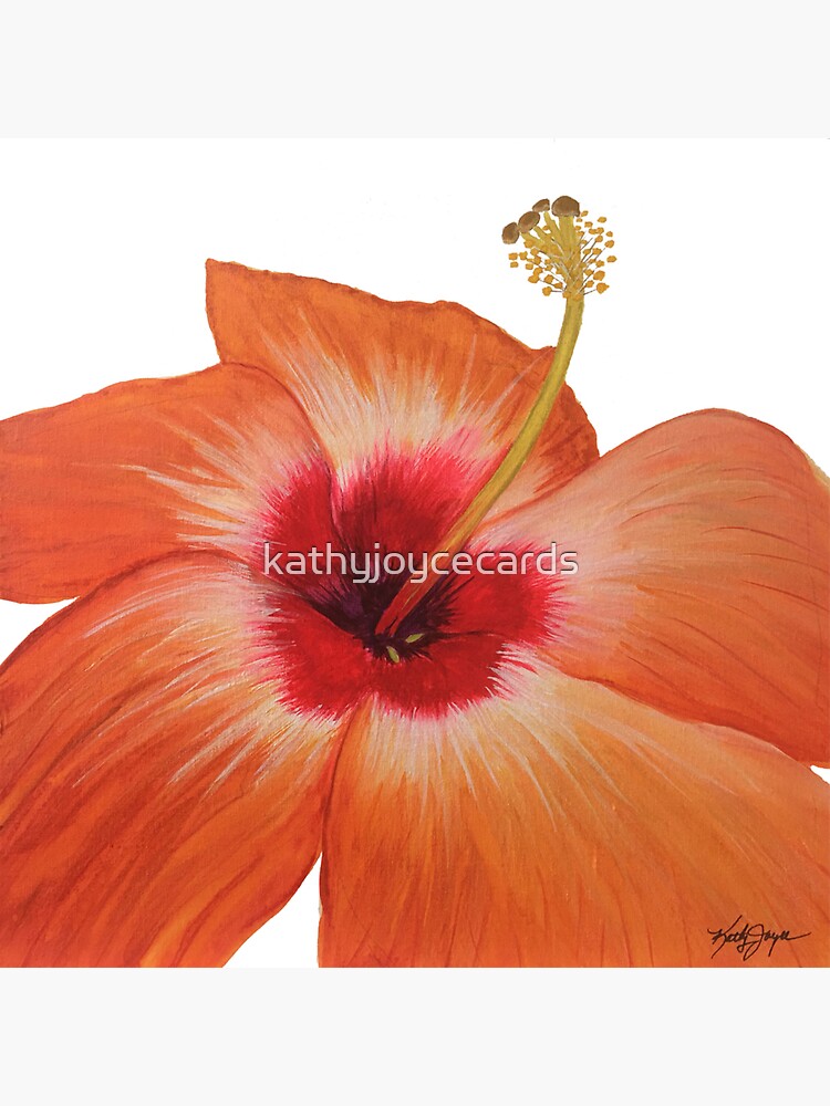 "Orange Hibiscus " Sticker for Sale by kathyjoycecards Redbubble