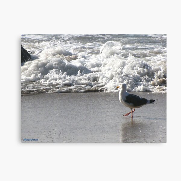 The second thoughts Canvas Print
