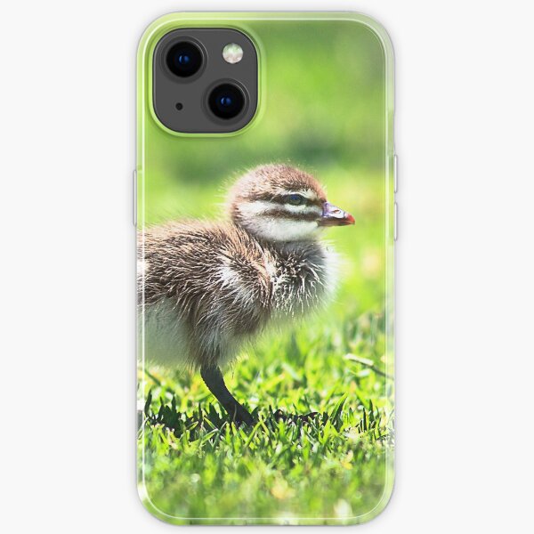 Yanchep Ducklings iPhone Soft Case