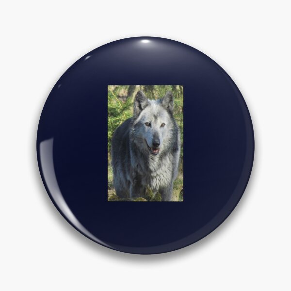 Item preview, Protect all Wolves designed and sold by 7AJA.