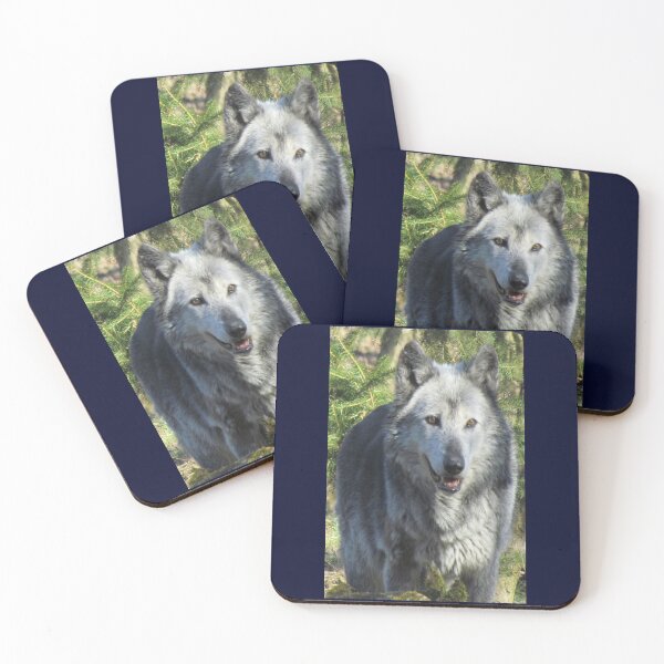 Item preview, Protect all Wolves designed and sold by 7AJA.