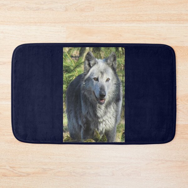 Item preview, Protect all Wolves designed and sold by 7AJA.