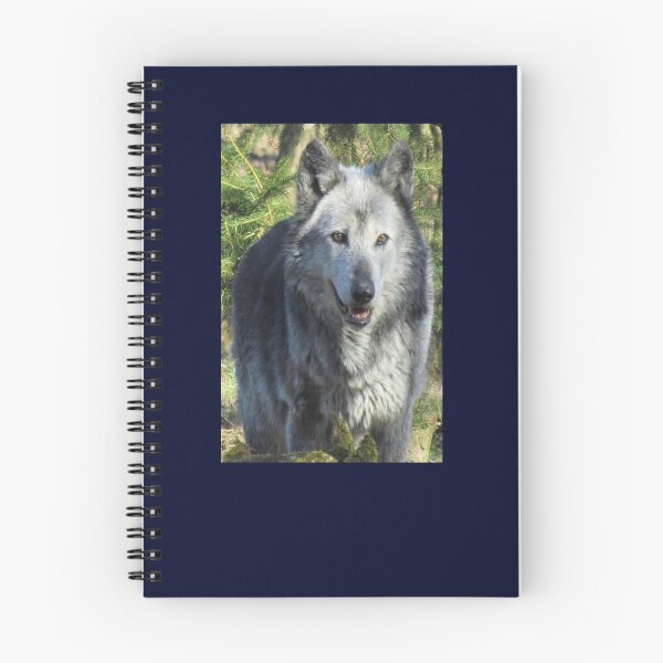 Item preview, Protect all Wolves designed and sold by 7AJA.