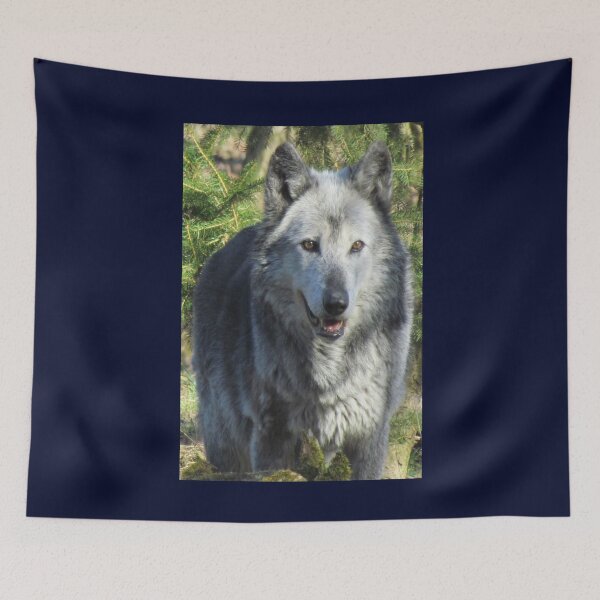 Item preview, Protect all Wolves designed and sold by 7AJA.