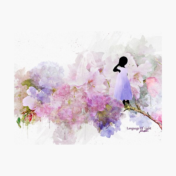 Language Of Light Photographic Print
