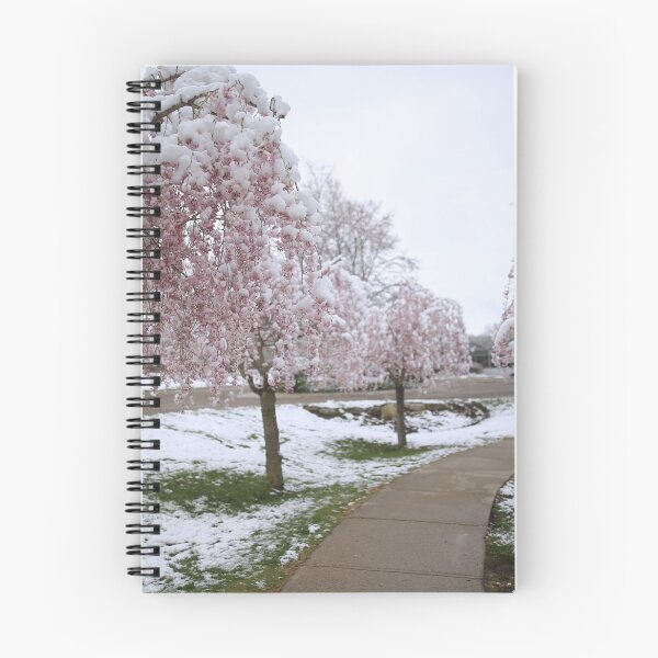 Item preview, Sakura bloom in Canadian Spring designed and sold by KimhengFineArt.