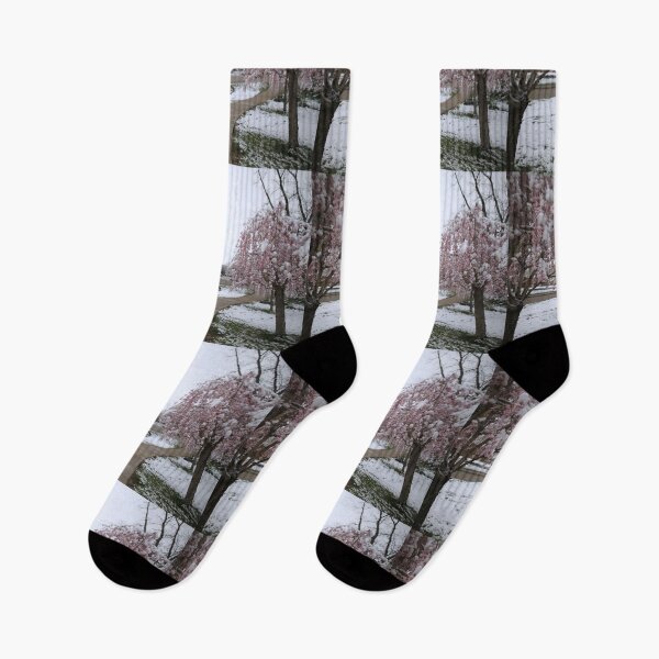 Item preview, Sakura bloom in Canadian Spring designed and sold by KimhengFineArt.