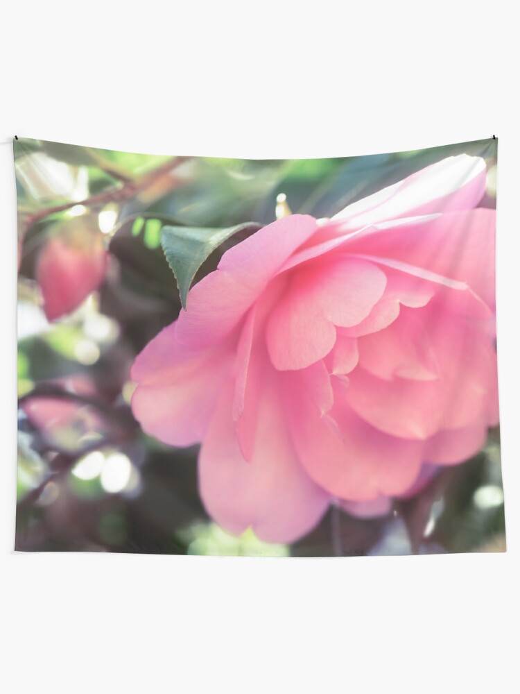 Tela decorativa «Hermosa camelia japonesa rosa Camellia Japonica primer  plano artístico de una foto de arte de la flor de impresión» de  AwenArtPrints | Redbubble