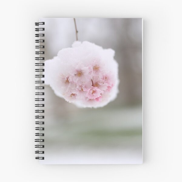 Item preview, Sakura bloom in snow designed and sold by KimhengFineArt.