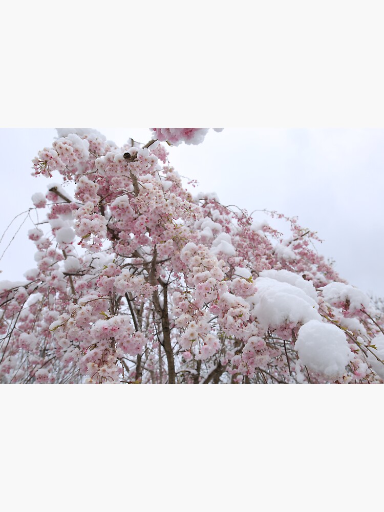 "Roses are red,April is grey, The next time you leave your house it is going to be May." Sticker