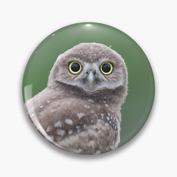 Item preview, Burrowing Owlet designed and sold by mlorenz.