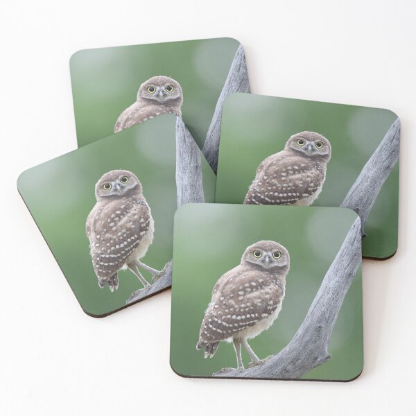 Item preview, Burrowing Owlet designed and sold by mlorenz.