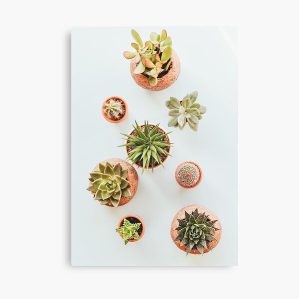 Item preview, Suculent  Plant  designed and sold by Fairies Flower  Garden.