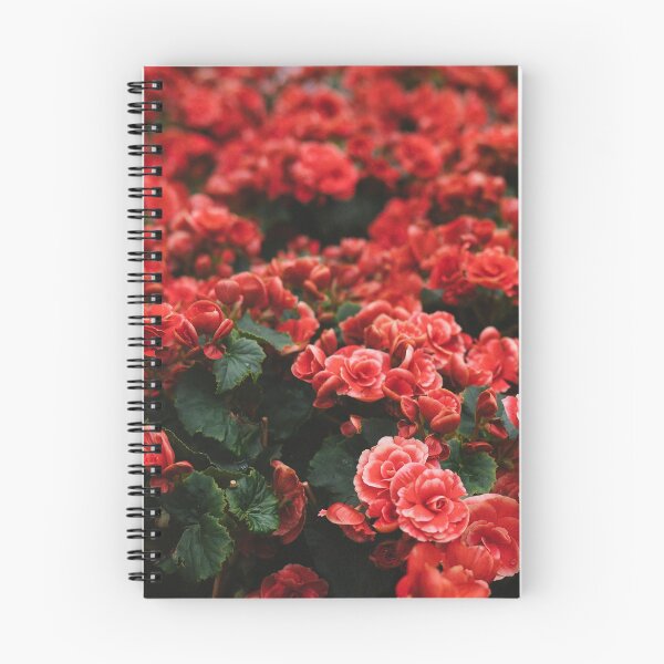Item preview, Eletior Begonia designed and sold by Fairies Flower  Garden.